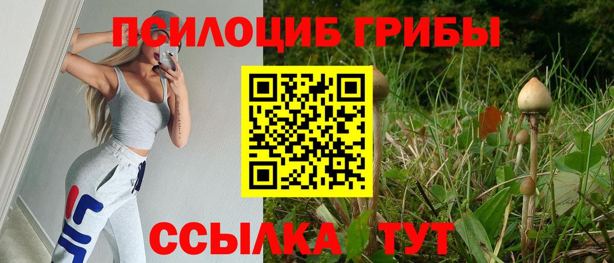 Псилоцибиновые грибы ЛСД  Вход с VPN  где продают наркотики  Полысаево 