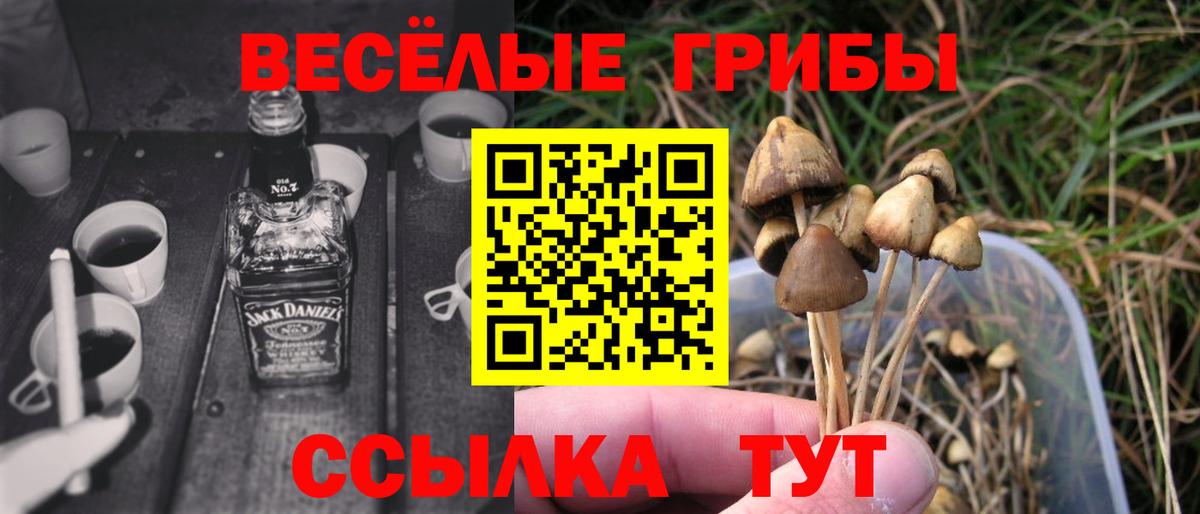 Псилоцибиновые грибы мухоморы Полысаево