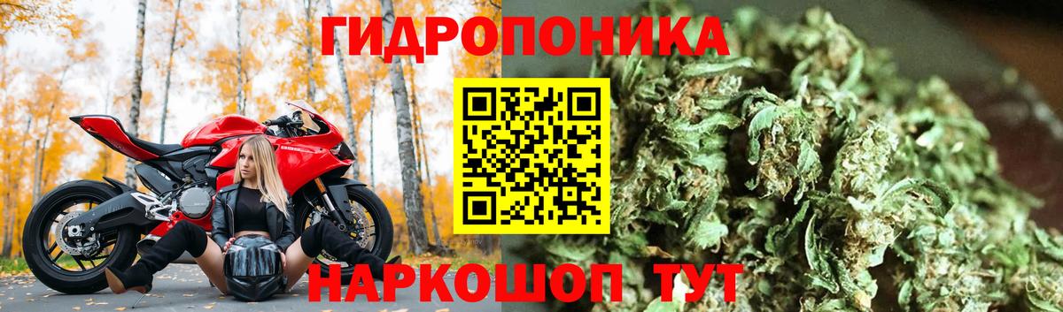 Полысаево  Конопля White Widow  Канабис планчик  Вход с VPN  МАРИХУАНА White Widow  Марихуана THC 21% 